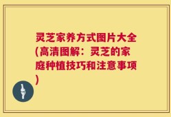 灵芝家养方式图片大全(高清图解：灵芝的家庭种植技巧和注意事项)