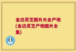 金边灵芝图片大全产地(金边灵芝产地图片全集)