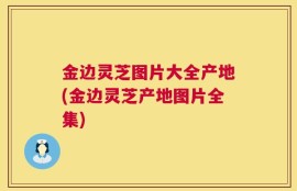 金边灵芝图片大全产地(金边灵芝产地图片全集)
