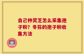 自己种灵芝怎么采集孢子粉？冬荪的孢子粉收集方法