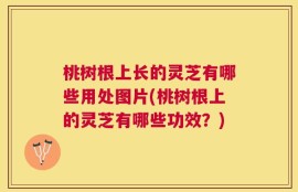 桃树根上长的灵芝有哪些用处图片(桃树根上的灵芝有哪些功效？)