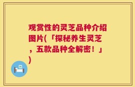 观赏性的灵芝品种介绍图片(「探秘养生灵芝，五款品种全解密！」)