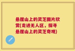 悬崖山上的灵芝图片欣赏(走进无人区，探寻悬崖山上的灵芝奇观)