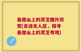 悬崖山上的灵芝图片欣赏(走进无人区，探寻悬崖山上的灵芝奇观)