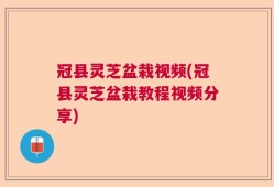 冠县灵芝盆栽视频(冠县灵芝盆栽教程视频分享)