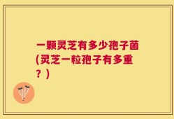 一颗灵芝有多少孢子菌(灵芝一粒孢子有多重？)