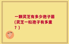 一颗灵芝有多少孢子菌(灵芝一粒孢子有多重？)