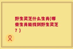 野生灵芝什么生肖(哪些生肖能找到野生灵芝？)