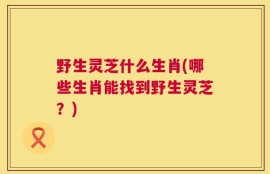 野生灵芝什么生肖(哪些生肖能找到野生灵芝？)