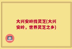 大兴安岭找灵芝(大兴安岭，世界灵芝之乡)