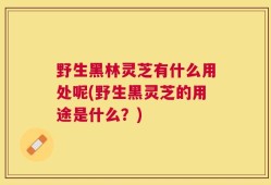 野生黑林灵芝有什么用处呢(野生黑灵芝的用途是什么？)