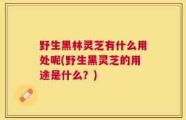 野生黑林灵芝有什么用处呢(野生黑灵芝的用途是什么？)