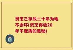 灵芝己存放二十年为啥不会坏(灵芝存放20年不变质的奥秘)