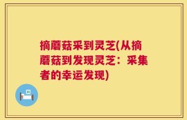 摘蘑菇采到灵芝(从摘蘑菇到发现灵芝：采集者的幸运发现)