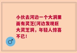 小伙去河边一个大洞里面有灵芝(河边发现巨大灵芝洞，年轻人惊喜不已！