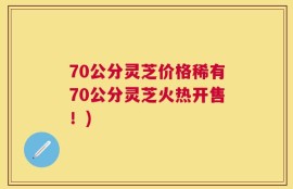 70公分灵芝价格稀有70公分灵芝火热开售！)