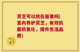 灵芝可以放在屋里吗(室内养护灵芝，有效抗菌抗氧化，提升生活品质)