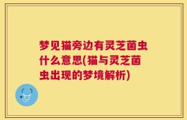梦见猫旁边有灵芝菌虫什么意思(猫与灵芝菌虫出现的梦境解析)