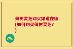 薄树灵芝购买渠道在哪(如何购买薄树灵芝？)