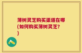 薄树灵芝购买渠道在哪(如何购买薄树灵芝？)