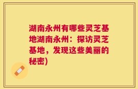 湖南永州有哪些灵芝基地湖南永州：探访灵芝基地，发现这些美丽的秘密)