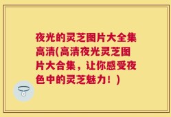 夜光的灵芝图片大全集高清(高清夜光灵芝图片大合集，让你感受夜色中的灵芝魅力！)