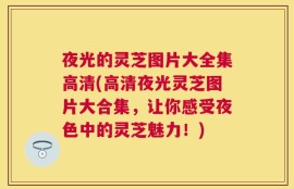 夜光的灵芝图片大全集高清(高清夜光灵芝图片大合集，让你感受夜色中的灵芝魅力！)