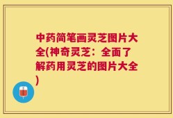 中药简笔画灵芝图片大全(神奇灵芝：全面了解药用灵芝的图片大全)
