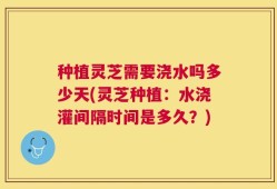 种植灵芝需要浇水吗多少天(灵芝种植：水浇灌间隔时间是多久？)