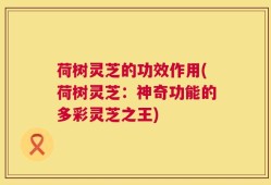 荷树灵芝的功效作用(荷树灵芝：神奇功能的多彩灵芝之王)