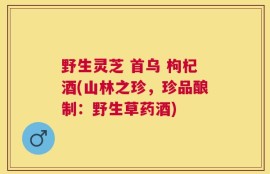 野生灵芝 首乌 枸杞酒(山林之珍，珍品酿制：野生草药酒)