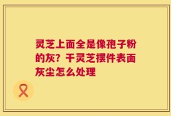 灵芝上面全是像孢子粉的灰？干灵芝摆件表面灰尘怎么处理
