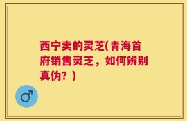 西宁卖的灵芝(青海首府销售灵芝，如何辨别真伪？)