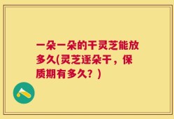 一朵一朵的干灵芝能放多久(灵芝逐朵干，保质期有多久？)
