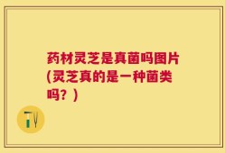 药材灵芝是真菌吗图片(灵芝真的是一种菌类吗？)