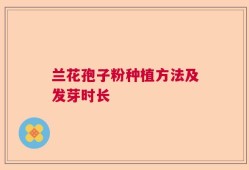 兰花孢子粉种植方法及发芽时长