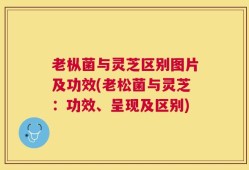 老枞菌与灵芝区别图片及功效(老松菌与灵芝：功效、呈现及区别)
