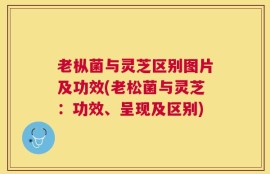 老枞菌与灵芝区别图片及功效(老松菌与灵芝：功效、呈现及区别)