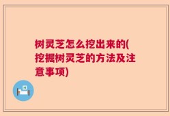 树灵芝怎么挖出来的(挖掘树灵芝的方法及注意事项)