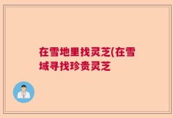 在雪地里找灵芝(在雪域寻找珍贵灵芝