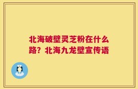 北海破壁灵芝粉在什么路？北海九龙壁宣传语