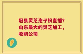 冠县灵芝孢子粉直播？山东最大的灵芝加工，收购公司