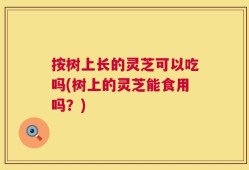 按树上长的灵芝可以吃吗(树上的灵芝能食用吗？)