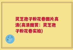 灵芝孢子粉花卷图片高清(高清图赏：灵芝孢子粉花卷实拍)