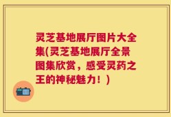 灵芝基地展厅图片大全集(灵芝基地展厅全景图集欣赏，感受灵药之王的神秘魅力！)