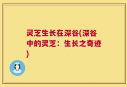 灵芝生长在深谷(深谷中的灵芝：生长之奇迹)