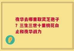 夜华去哪里取灵芝孢子？三生三世十里桃花白止和夜华战力