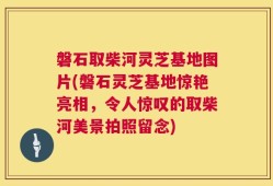 磐石取柴河灵芝基地图片(磐石灵芝基地惊艳亮相，令人惊叹的取柴河美景拍照留念)