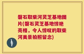 磐石取柴河灵芝基地图片(磐石灵芝基地惊艳亮相，令人惊叹的取柴河美景拍照留念)