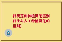 野灵芝和种植灵芝区别野生与人工种植灵芝的区别)